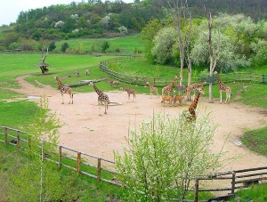 Зоопарк в Праге